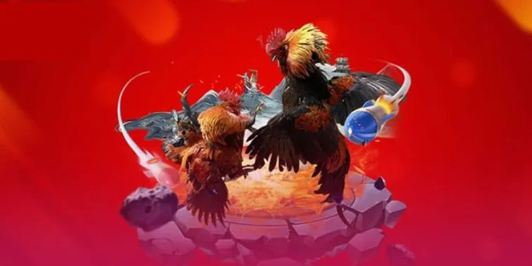 Đá Gà 666VN Đấu Trường Đỉnh Cao Cháy Hết Mình Cùng Kê Thủ